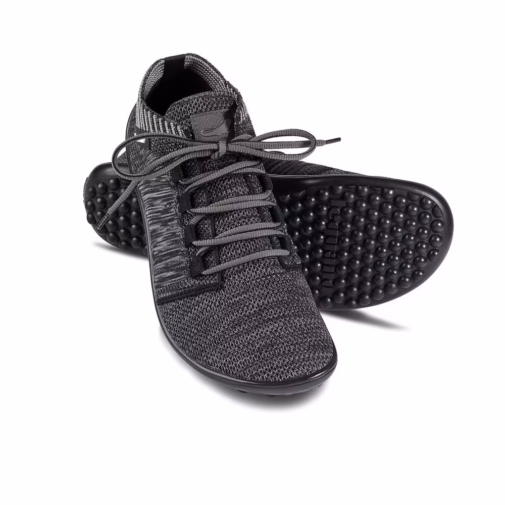 Leguano - Beat - Antrasiitti